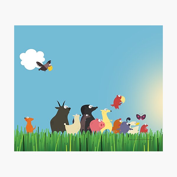 What's happening on the farm? Kids collection Photographic Print