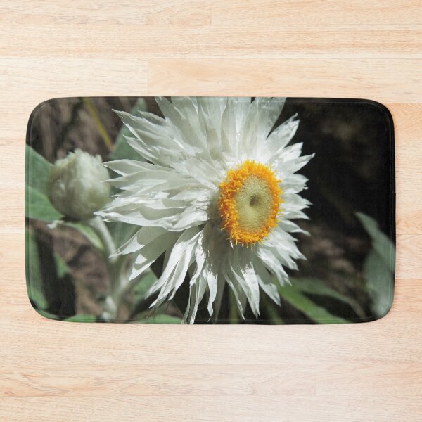Item preview, White Paper Daisy (Coronidium elatum) designed and sold by Marilyn Harris.