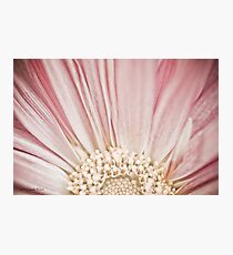 Floral Beauty Photographic Print