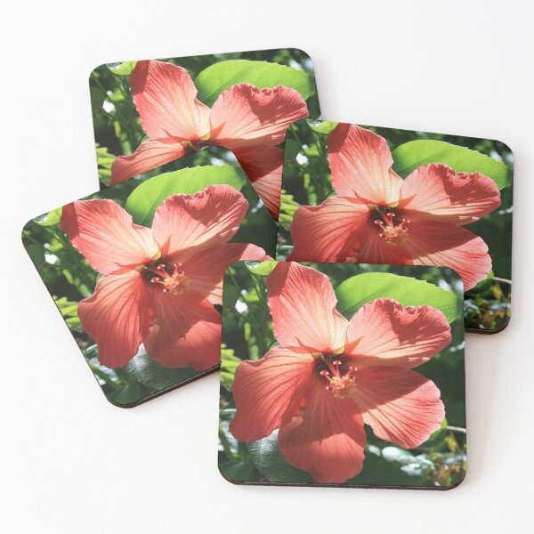 Item preview, Hibiscus Pink designed and sold by Wendy Skala.