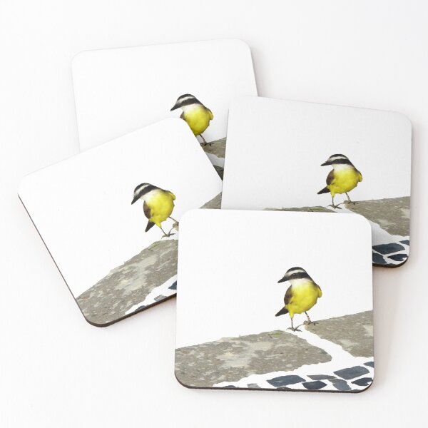 Item preview, Pitangus sulphuratus - Great kiskadee designed and sold by delcueto.