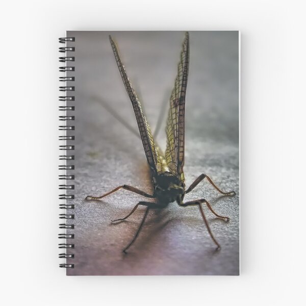 Item preview, mayfly designed and sold by clayton  jordan.