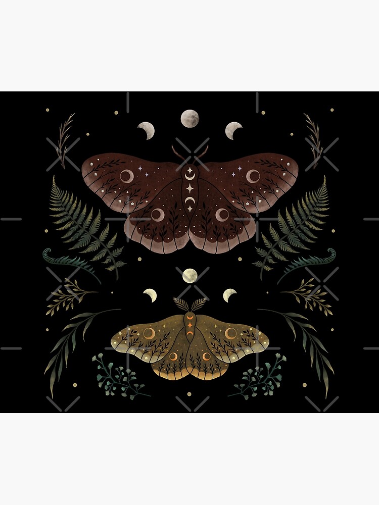 Saturnia Pavonia by episodicDrawing