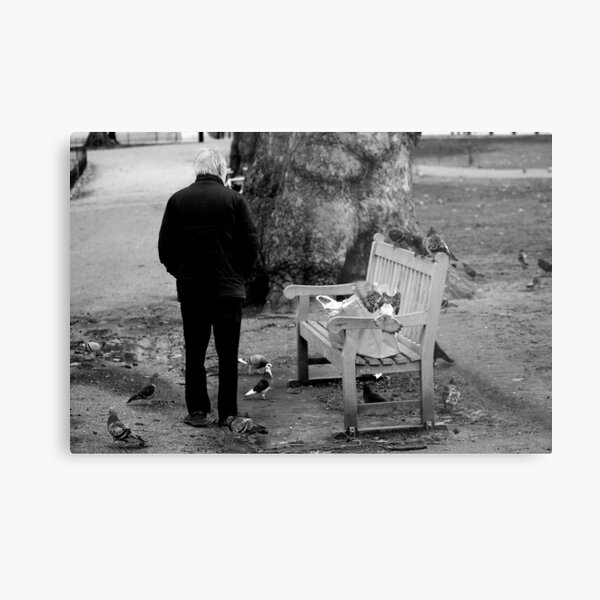 Pigeon Man Metal Print