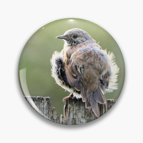 Item preview, Windswept Dunnock Hedge Sparrow - NZ designed and sold by AndreaEL.