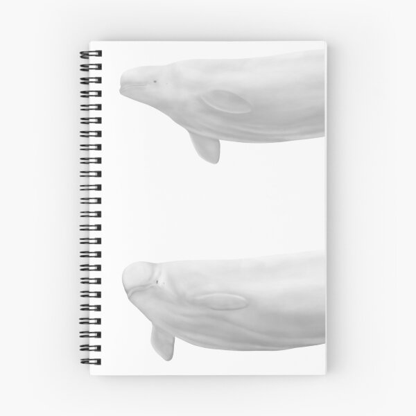 Item preview, beluga whales designed and sold by Selena Rivera.