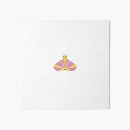 Rosy Maple Moth Art Board Print for Sale by ensdraws