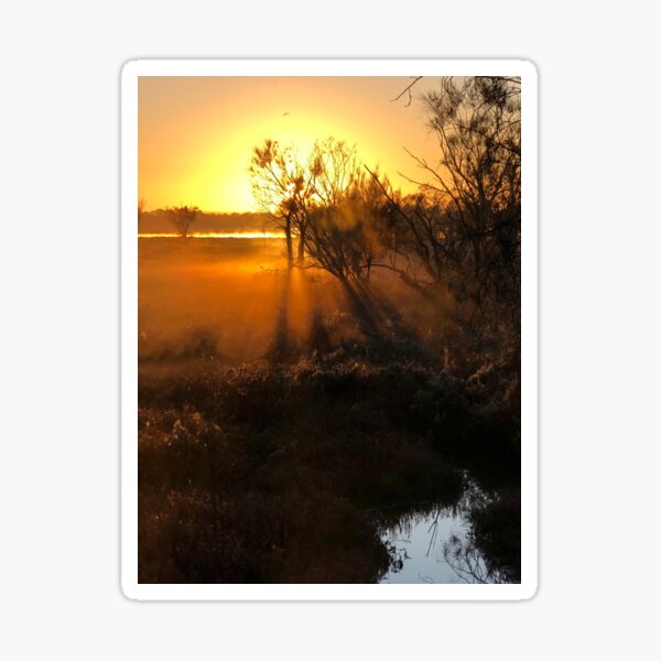Radiant Sunrise Sticker