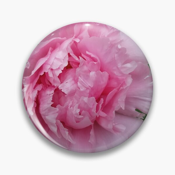 Item preview, Pink Tree Peony Spring designed and sold by Betty Mackey.