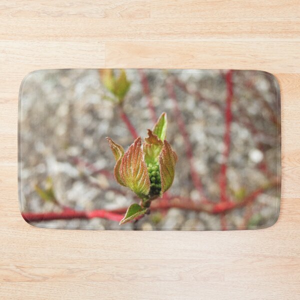 Item preview, Textured Bud - Nature's Beauty! designed and sold by Marilyn Harris.