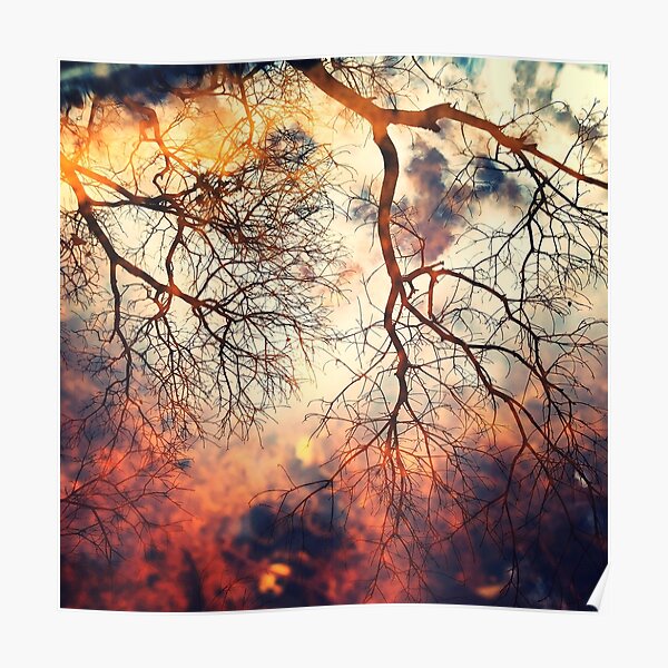 Stormy Reflections, Winter Poster