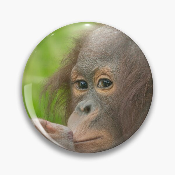 Item preview, Baby Orangutan  designed and sold by rawshutterbug.