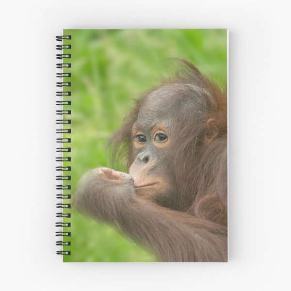 Item preview, Baby Orangutan  designed and sold by rawshutterbug.