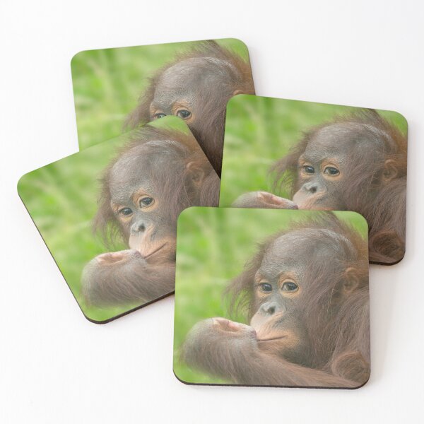 Item preview, Baby Orangutan  designed and sold by rawshutterbug.