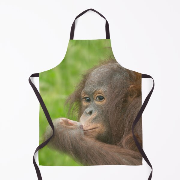 Item preview, Baby Orangutan designed and sold by rawshutterbug.