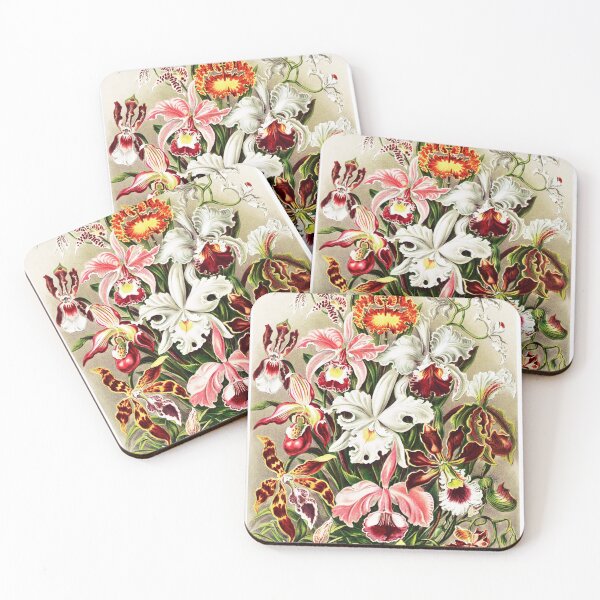 Item preview, Vintage Orchids Print Ernst Haeckel designed and sold by karwilberevivalcollection.