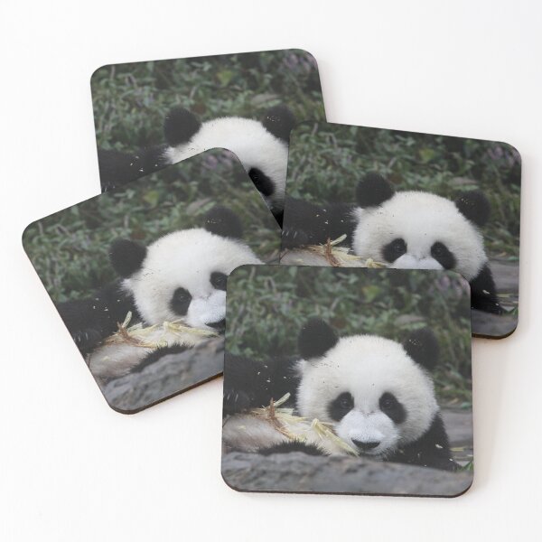 Item preview, Hurry Up - I'm Running Out Of Bamboo Here! designed and sold by v-something.