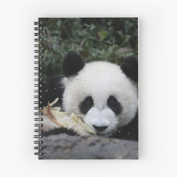 Item preview, Hurry Up - I'm Running Out Of Bamboo Here! designed and sold by v-something.