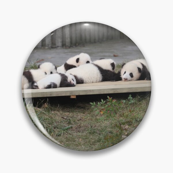Item preview, A Platter Of Pandas designed and sold by v-something.