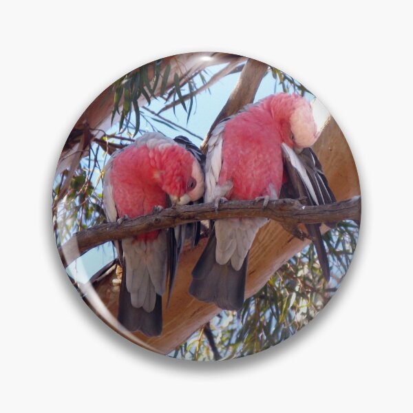 Item preview, Galahs (Eolophus roseicapilla) designed and sold by Marilyn Harris.