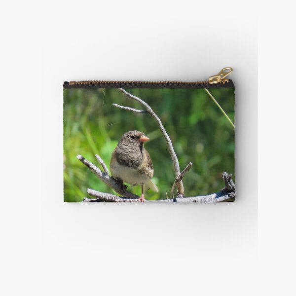 Item preview, Dark-eyed Junco  designed and sold by DigitalGen.