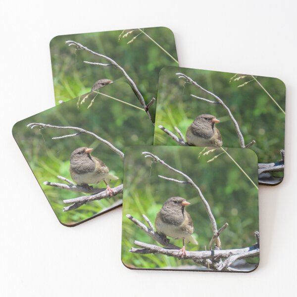 Item preview, Dark-eyed Junco  designed and sold by DigitalGen.