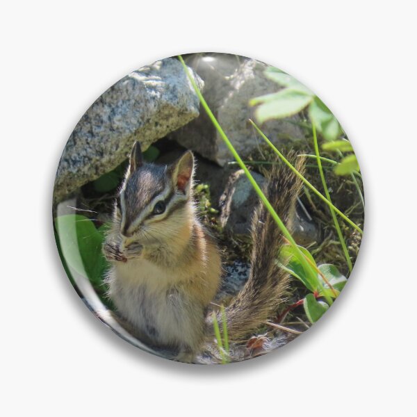 Item preview, Chipmunk Snacktime #2 designed and sold by DigitalGen.