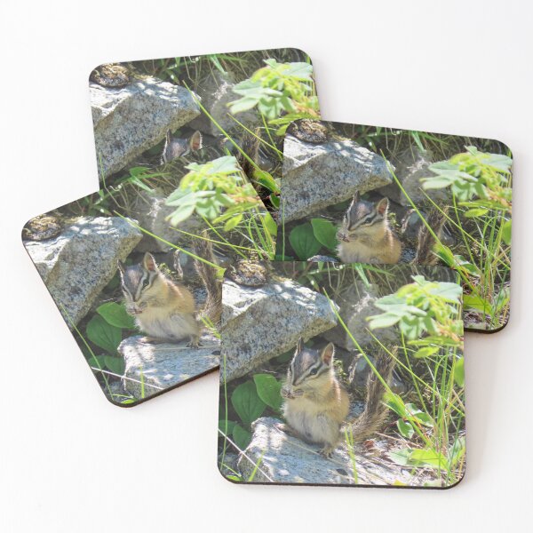 Item preview, Chipmunk Snacktime #2 designed and sold by DigitalGen.