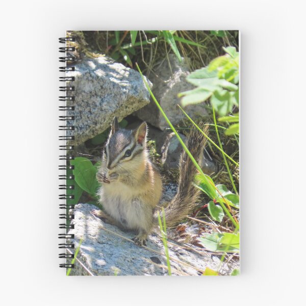 Item preview, Chipmunk Snacktime #2 designed and sold by DigitalGen.