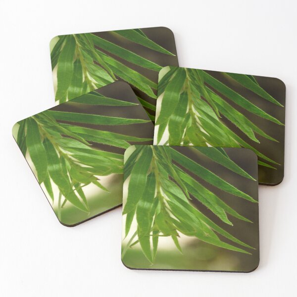 Item preview, Nature Mindfulness for Focus designed and sold by AraljanFusion.