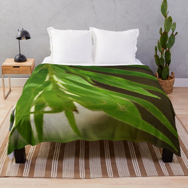 Item preview, Nature Mindfulness for Focus designed and sold by AraljanFusion.