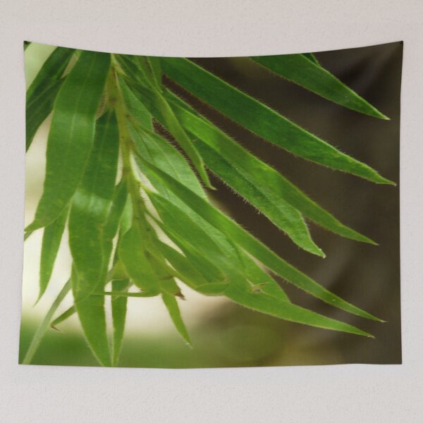 Item preview, Nature Mindfulness for Focus designed and sold by AraljanFusion.