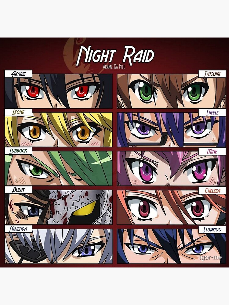 V7377 Akame Ga Kill Night Raid Characters Anime Manga Art WALL POSTER PRINT