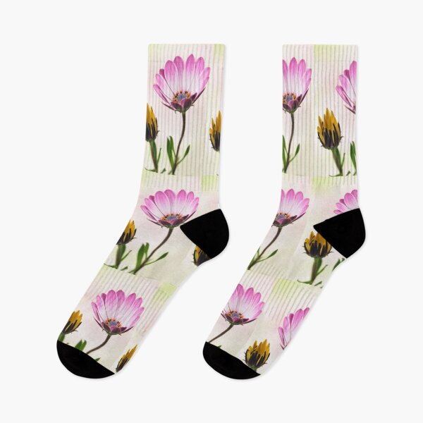 Item preview,  Osteospermum flower and bud. designed and sold by John Ray.