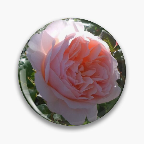 Item preview, Pink Rose in Bloom designed and sold by KeksWorkroom.