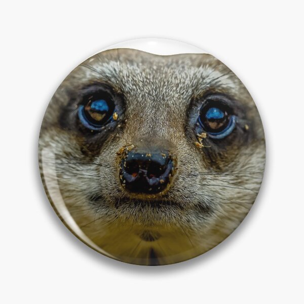 Item preview, Meerkat Face designed and sold by Dalyndigital Photography.