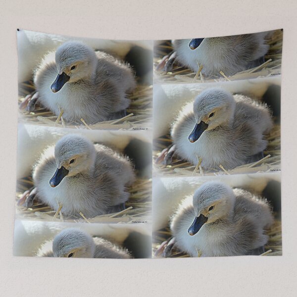 Item preview, A Puff Of Fluff designed and sold by naturelover.