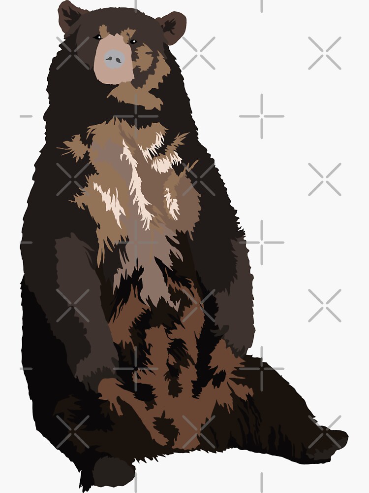 "Brown University Bear" Sticker for Sale by Makieroon Redbubble