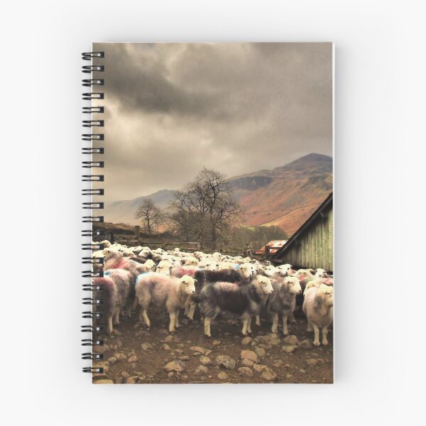 Item preview, Eskdale Herdwick Sheep & Bowfell Lake District  designed and sold by WizardsWorld.