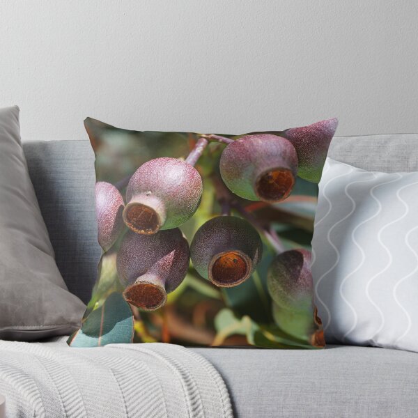 Item preview, Australian Gumnuts Cluster designed and sold by Joy Watson - Natural Light Photography .