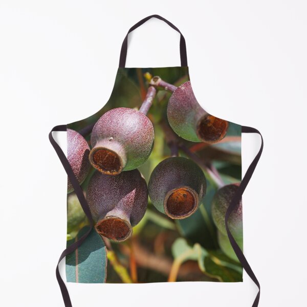 Item preview, Australian Gumnuts Cluster designed and sold by Joy Watson - Natural Light Photography .