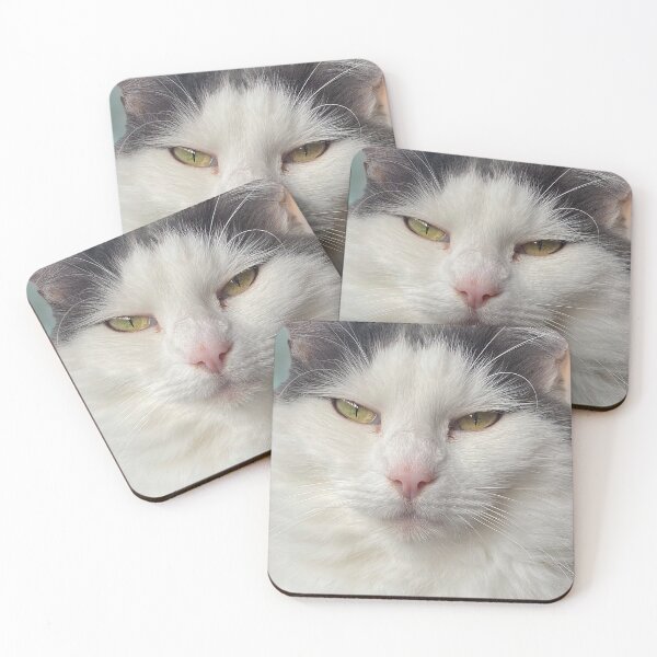 Item preview, Wiskers Merch, Judgemental Cat Face designed and sold by Christine  Briggs.
