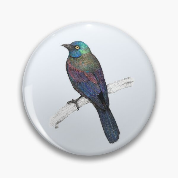 Item preview, Common Grackle designed and sold by Bwiselizzy.