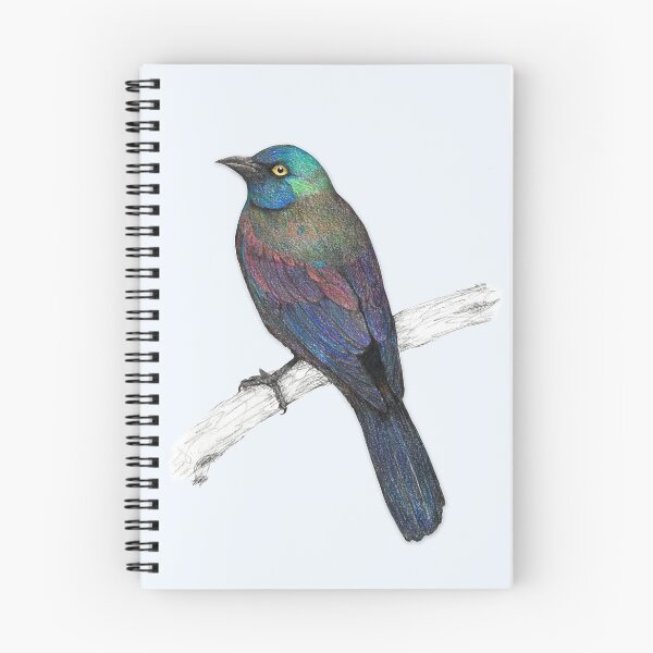Item preview, Common Grackle designed and sold by Bwiselizzy.