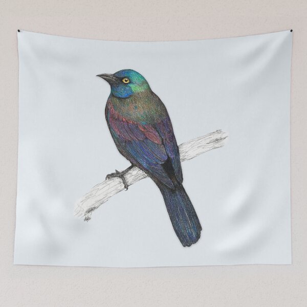 Item preview, Common Grackle designed and sold by Bwiselizzy.