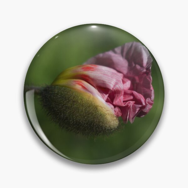 Item preview, Coming Out designed and sold by Magda Labuda.