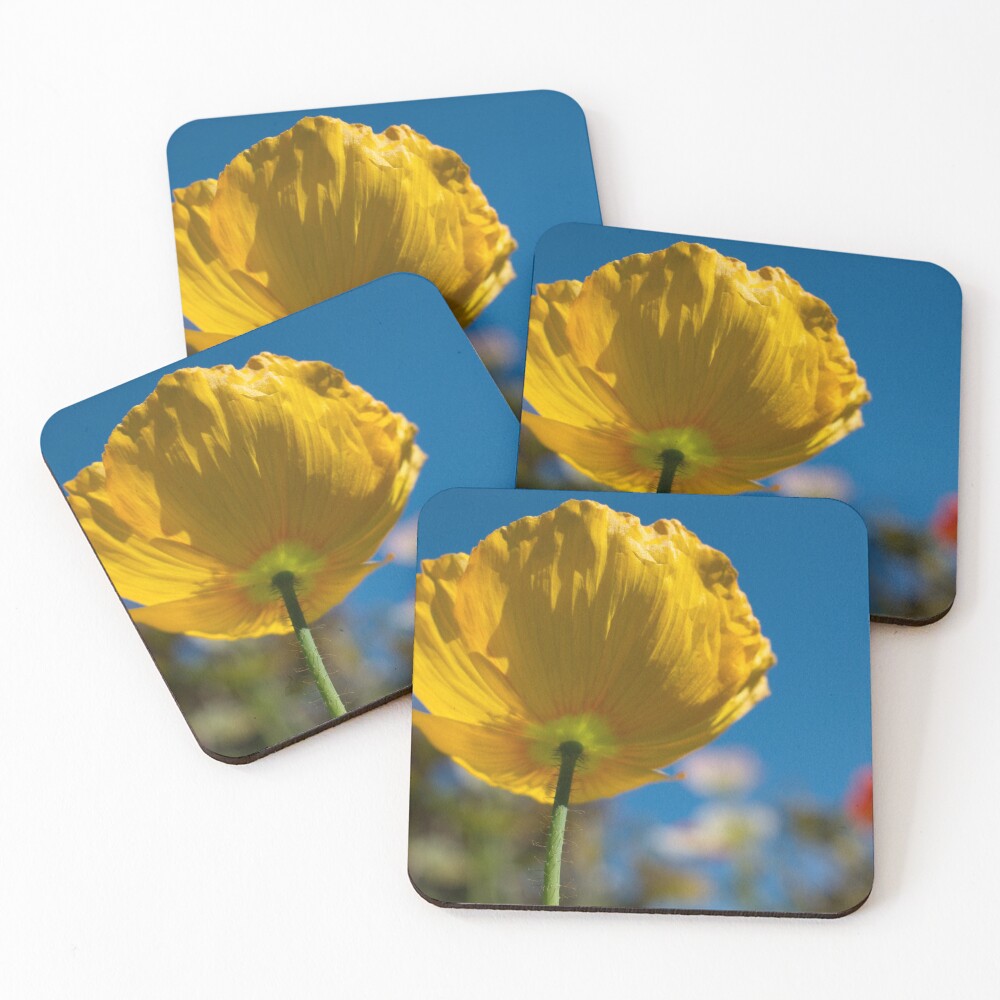 Item preview, Coasters (Set of 4) designed and sold by MagdaLabuda.