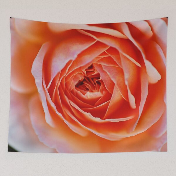 Item preview, Orange Glow Rose designed and sold by Joy Watson - Natural Light Photography .