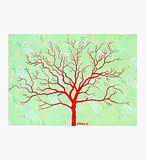TREE ON DESIGN PAPER Photographic Print