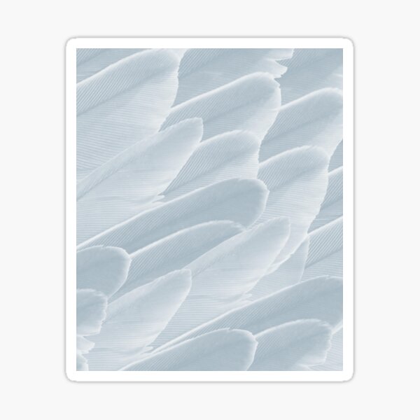 Pale Grey Birds Feathers Sticker